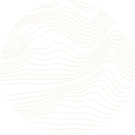 clip-path-vector